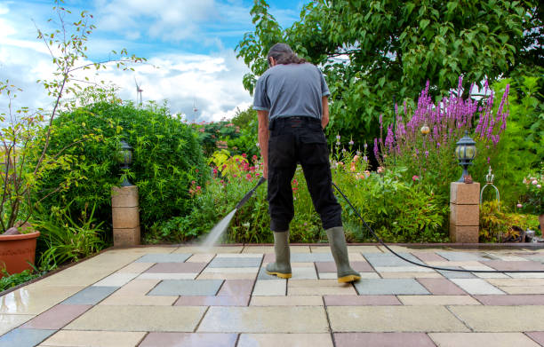 Animal Enclosure Cleaning in Vestavia Hills, AL